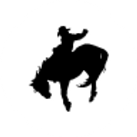 cowboyschoice logo